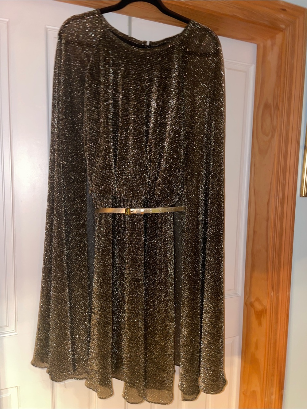 Calvin Klein Metallic Gold Circle Skirt with Slim Belt